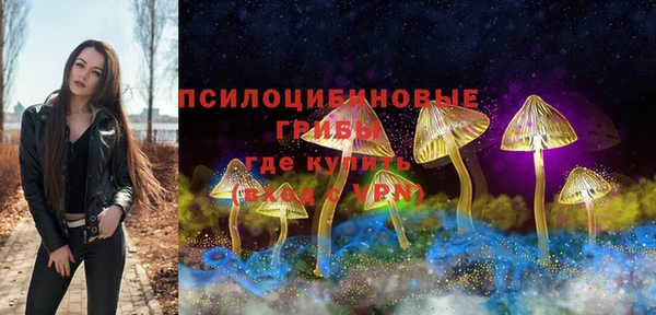 a pvp Абинск