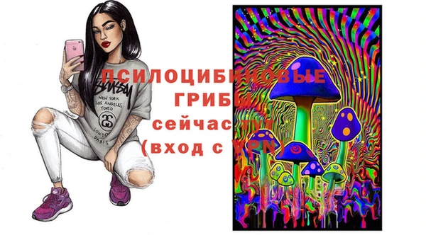 соль курить ск Алексин