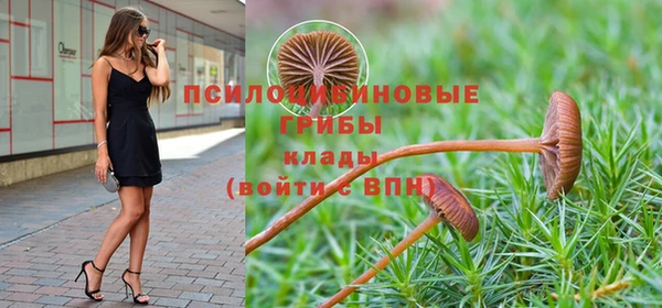 таблы Алексеевка